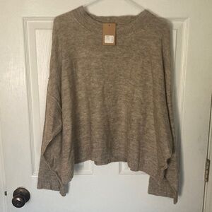 Elegant Taupe / Beige Women's Crew Neck Crop Sweater